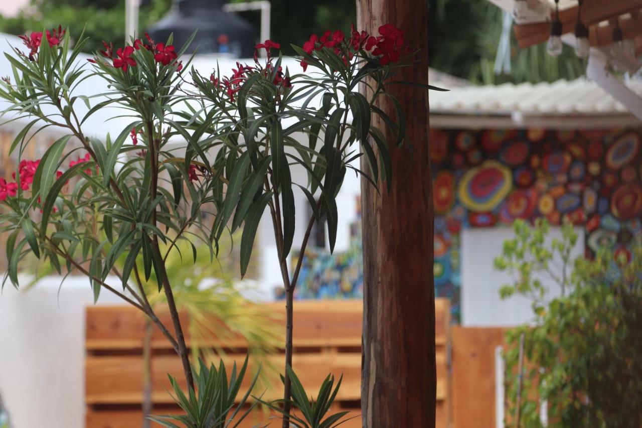 Wabi Hostel ปลายาเดลการ์เมน ภายนอก รูปภาพ